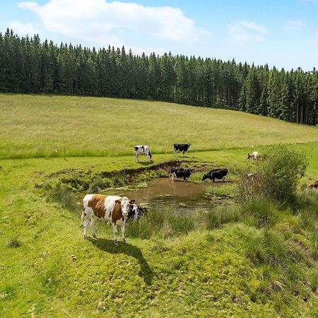 Ferienwohnung Duffner Schonach im Schwarzwald Exteriör bild