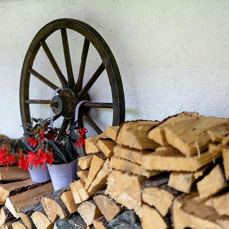 Ferienwohnung Duffner Schonach im Schwarzwald Exteriör bild