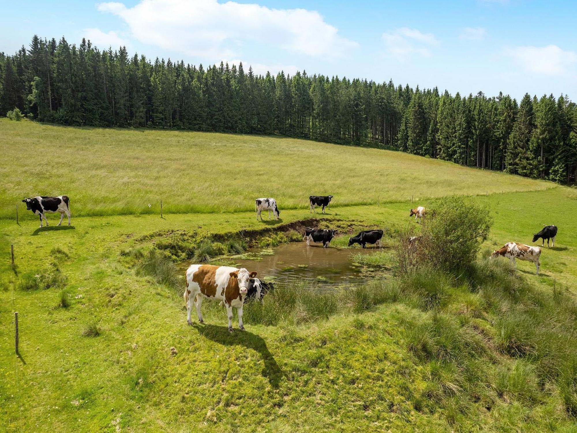 Ferienwohnung Duffner Schonach im Schwarzwald Exteriör bild