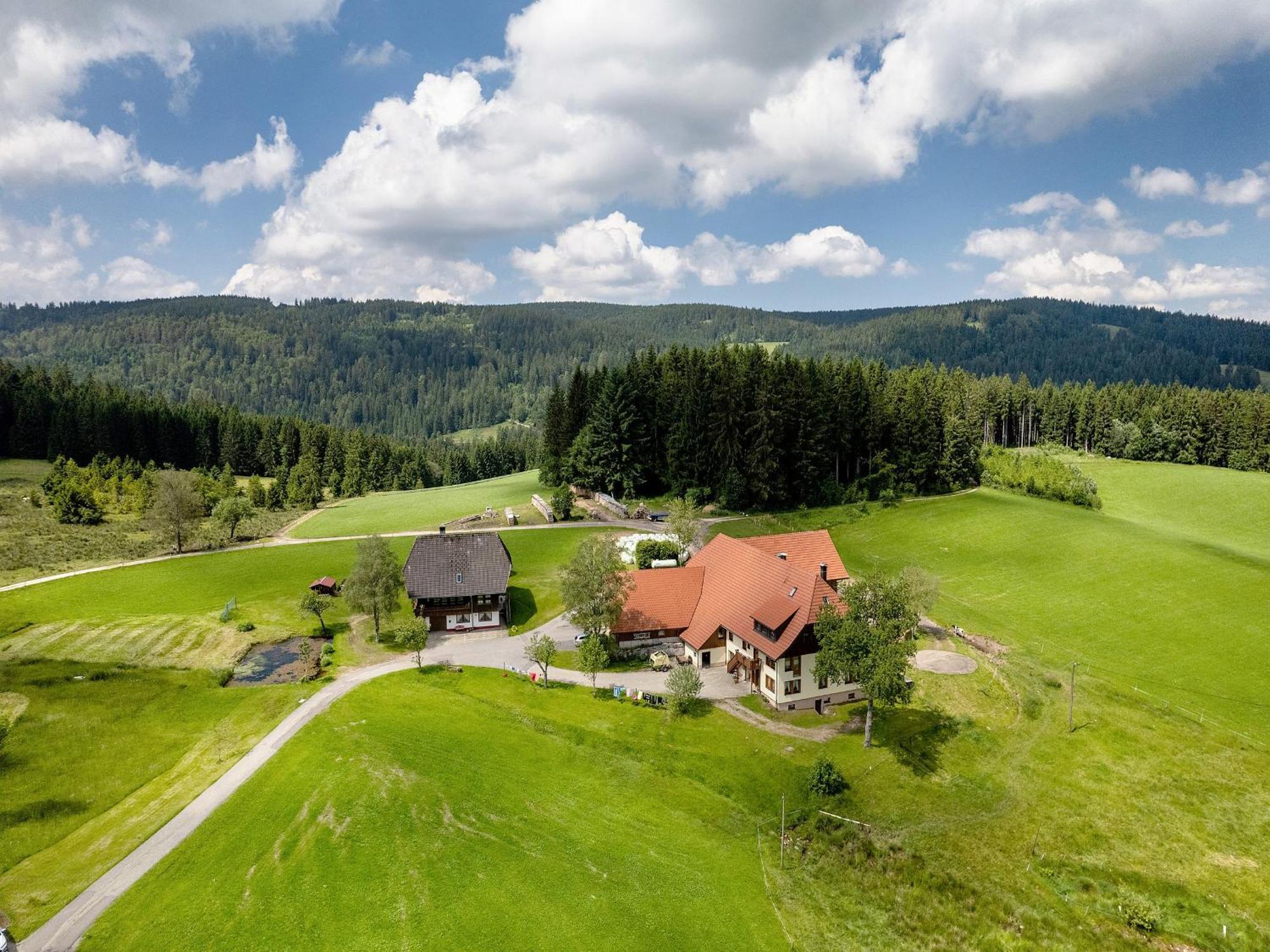 Ferienwohnung Duffner Schonach im Schwarzwald Exteriör bild
