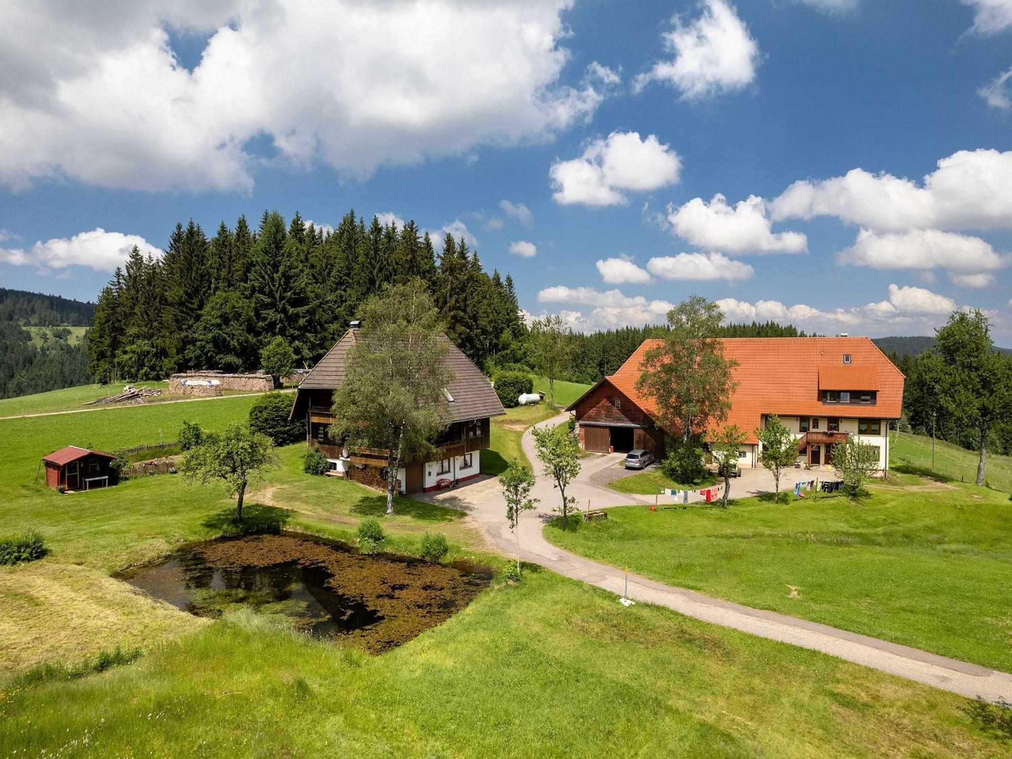 Ferienwohnung Duffner Schonach im Schwarzwald Exteriör bild