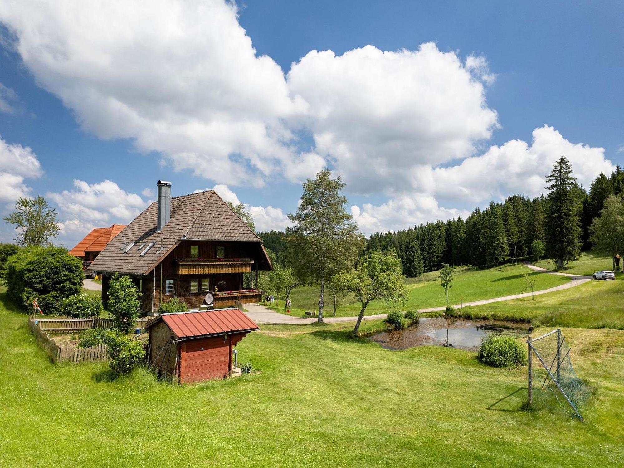 Ferienwohnung Duffner Schonach im Schwarzwald Exteriör bild